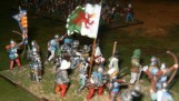 Tudor's Ward